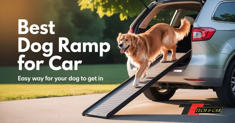Best Dog Ramp for Car
